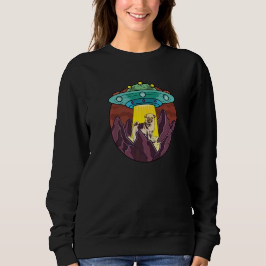 Mops-Hunderasse Carlin 40 Sweatshirt (Vorderseite)