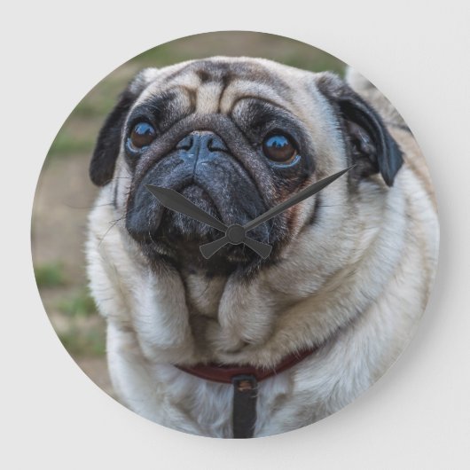Mops-Hundeuhr Große Wanduhr (Vorderseite)