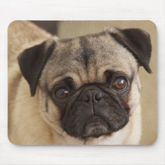 MOPS-HUNDEwelpe Mousepad (Vorne)
