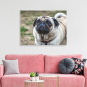 Mops Hundporträt Leinwand (Insitu (Wohnzimmer))