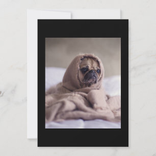 Mops in Blanket Niedlicher Mops Hund Lover Geschen Dankeskarte