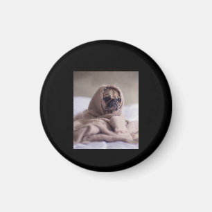 Mops in Blanket Niedlicher Mops Hund Lover Geschen Magnet