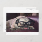 Mops in Brille Postkarte (Vorne/Hinten)