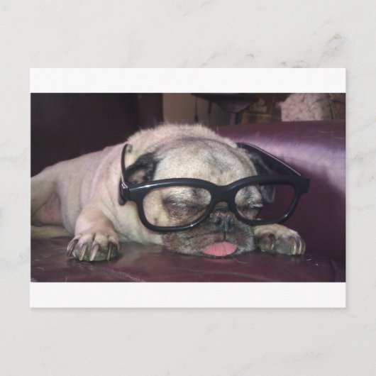 Mops in Brille Postkarte (Vorderseite)
