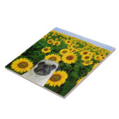 Mops in den Sonnenblumen Fliese (Seite)