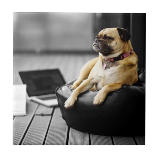 Mops in der Erholung Fliese (Vorderseite)