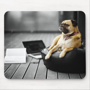 Mops in der Erholung Mousepad