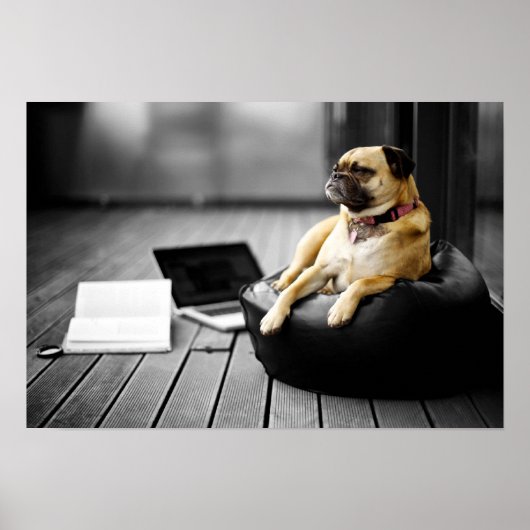 Mops in der Erholung Poster (Vorne)