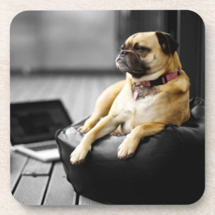 Mops in der Erholung Untersetzer
