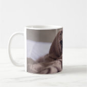 Mops in der umfassenden Tasse (Links)