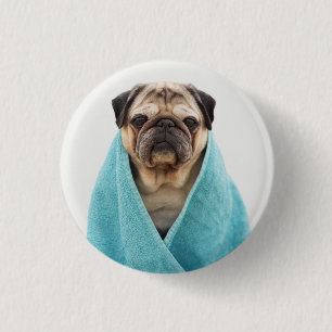 Mops in einem Handtuch Button