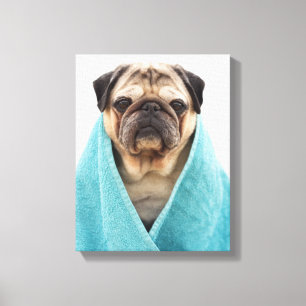 Mops in einem Handtuch Leinwanddruck