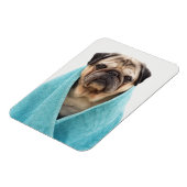 Mops in einem Handtuch Magnet (Linke Seite)