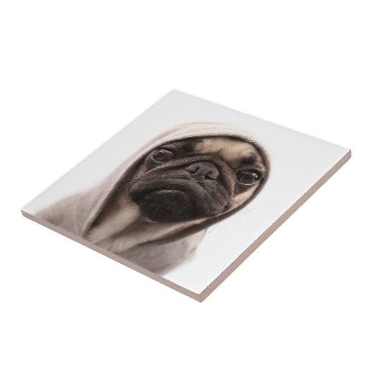 Mops in einem Hoodie Fliese (Seite)