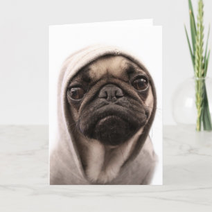 Mops in einem Hoodie Karte