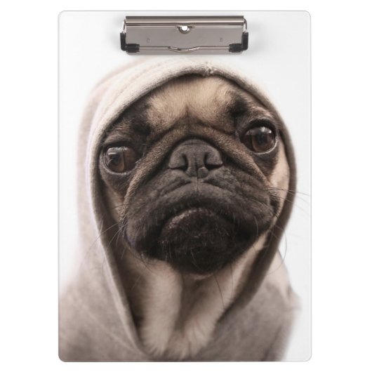Mops in einem Hoodie Klemmbrett (Vorderseite)