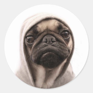 Mops in einem Hoodie Runder Aufkleber