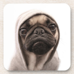 Mops in einem Hoodie Untersetzer