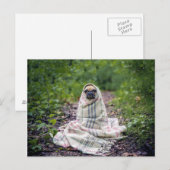 Mops in einer Blankette Postkarte (Vorne/Hinten)
