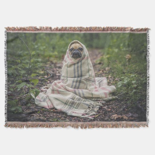 Mops in einer Decke (Vorderseite)