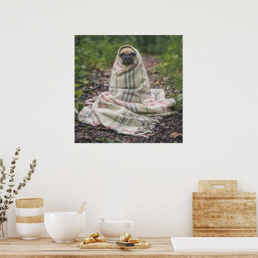 Mops in einer Decke Poster (Küche)