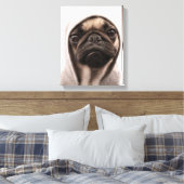 Mops in einer Hoodie Leinwanddruck (Insitu (Schlafzimmer))