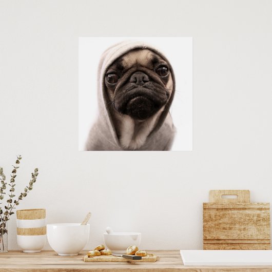 Mops in einer Hoodie Poster (Küche)
