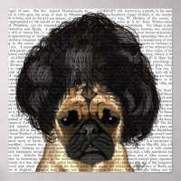 Mops in einer schlechten Wiege