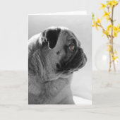 Mops in Profil Karte (Gelbe Blume)