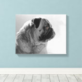 Mops in Profil Leinwanddruck (Insitu (Holzboden))