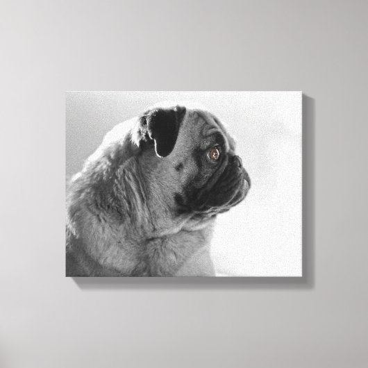 Mops in Profil Leinwanddruck (Vorderseite)