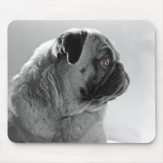 Mops in Profil Mousepad (Vorne)