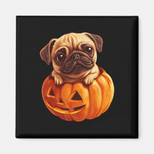 Mops in Pumpkin Halloween Pugkin Niedlicher Mops H Magnet