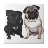 Mops Jack und Richi Fliese (Vorderseite)