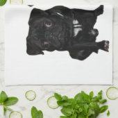Mops Jack und Richi Küchentuch (Gefaltet)