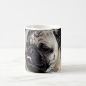 Mops Kaffeetasse (Mittel)