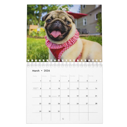 Mops Kalender (Mär 2026)