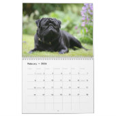 Mops Kalender (Feb 2026)