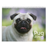 Mops Kalender (Titelbild)