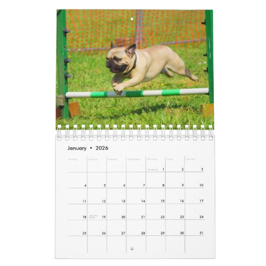 Mops Kalender (Jan 2026)