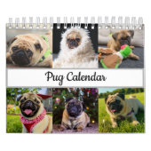 Mops Kalender (Titelbild)