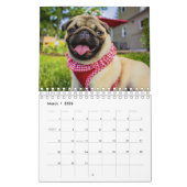 Mops Kalender (Mär 2026)
