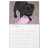 Mops-Kalender 2012 Kalender (Mär 2026)