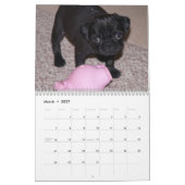 Mops-Kalender 2012 Kalender (Mär 2027)