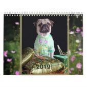 Mops-Kalender 2019 Kalender (Titelbild)