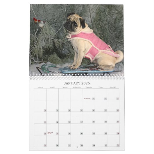 Mops-Kalender 2019 Kalender (Jan 2026)