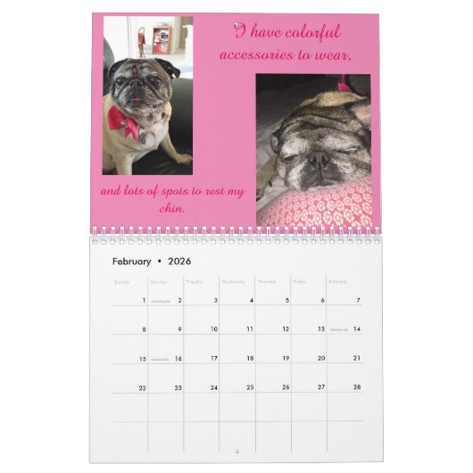 Mops-Kalender Kalender (Feb 2026)