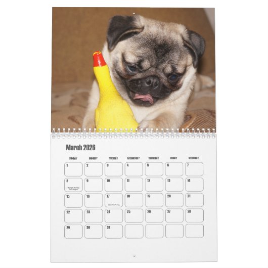 Mops-Kalender Kalender (Mär 2026)