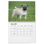 Mops-Kalender Kalender (Feb 2026)