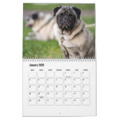 Mops-Kalender Kalender (Jan 2026)